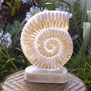 ammonite_upright_2.jpg