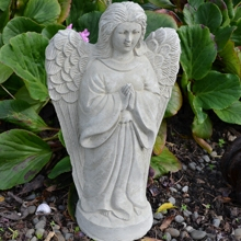 angel_prayingbku01_2.jpg