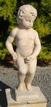 boy_from_brussels.jpg