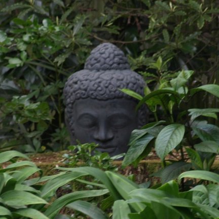 buddha_head_lge_in_trees.jpg