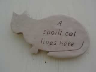 cat_spoilt_plaque.jpg
