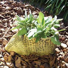 hedgehog_planter.jpg