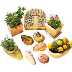 herb_garden_collection.jpg