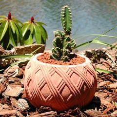 lattice-cactus-planter.jpg