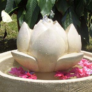 lotus_fountain_top.jpg