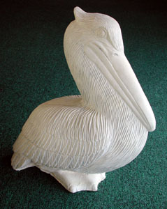 pelican_2.jpg