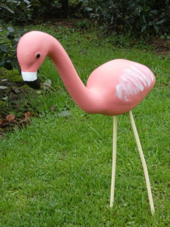 pink_flamingo_small.jpg