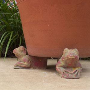 planter_feet_frog.jpg