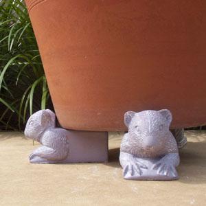 planter_feet_koala.jpg