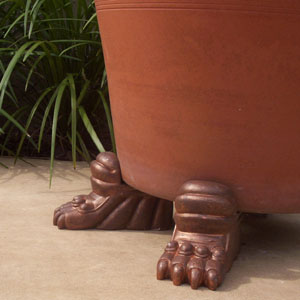 planter_feet_lion.jpg