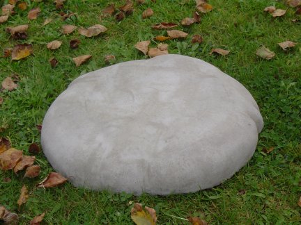 rock_stepping_stone.jpg