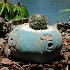 round-cactus-inca-design.jpg