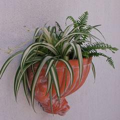 scalloped-wall-planter.jpg