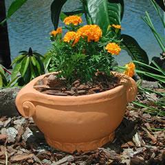 scroll-bulb-planter.jpg