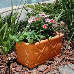 shell-planter-box.jpg