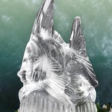 st009angelfishlarge.jpg