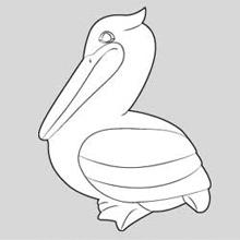 st035pelican.jpg