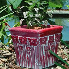 tall-poppies-square-planter.jpg