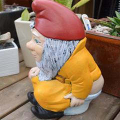 toilet_gnome.jpg