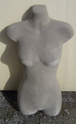torso_female.jpg