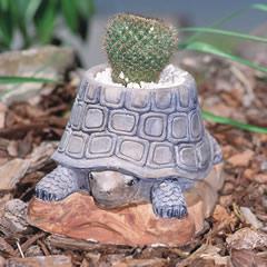 tortoise-planter.jpg