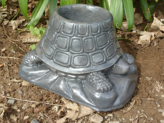 tortoise_planter.jpg