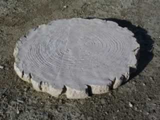 tree_ring_step_stone_sml.jpg